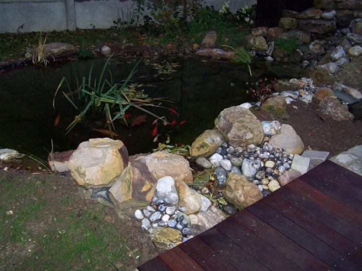 Bassins