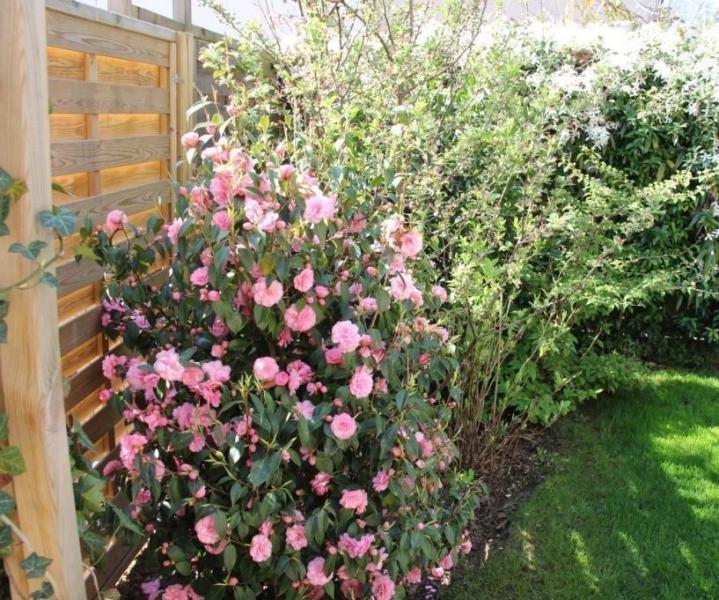 Aménagement de terrasse bois